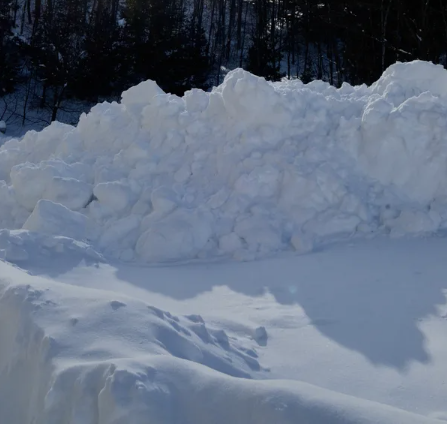 Heavy snow covering the waystation fields in winter