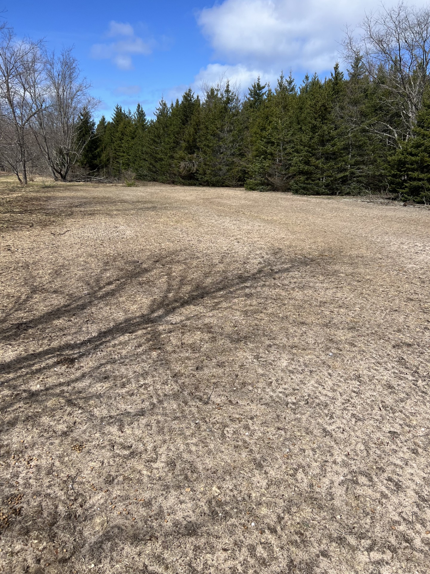 Bare waystation field in early spring after snow melt